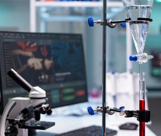 lab