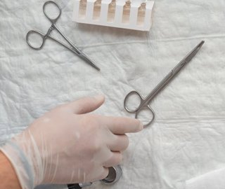 lab